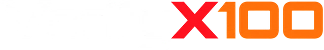 VerifyX100